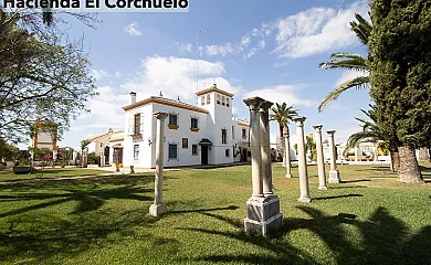 Baex Rural en La Lantejuela (Sevilla) - Foto 2