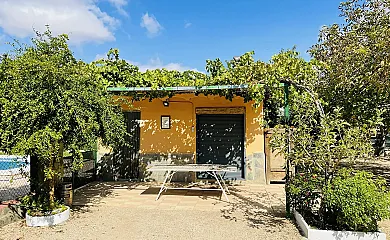 Doña Lucinda en Chinchilla de Monte Aragón (Albacete) - Foto 20