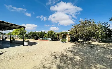 Doña Lucinda en Chinchilla de Monte Aragón (Albacete) - Foto 21