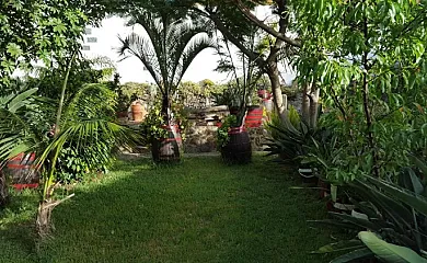 Finca Paraíso en San Cristobal de la Laguna (Santa Cruz de Tenerife) - Foto 5