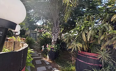 Finca Paraíso en San Cristobal de la Laguna (Santa Cruz de Tenerife) - Foto 24