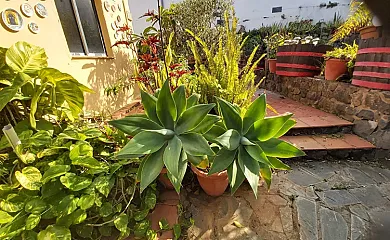 Finca Paraíso en San Cristobal de la Laguna (Santa Cruz de Tenerife) - Foto 25