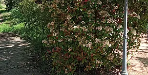 La Casa Mágica de Gredos 00105