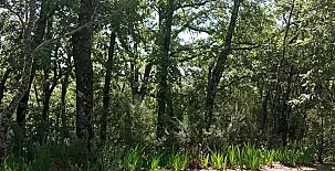 La Casa Mágica de Gredos 00107