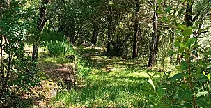 La Casa Mágica de Gredos 00108