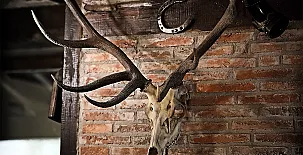 El Rincón del Soplao 0025