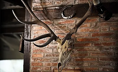 El Rincón del Soplao en Obeso (Cantabria) - Foto 25