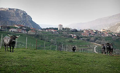El Balcón de la Peña en Obeso (Cantabria) - Foto 23