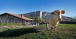 El Balcón de la Peña 0024