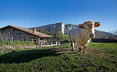 El Balcón de la Peña en Obeso (Cantabria) - Foto 24