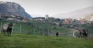 El Balcón de la Peña 0042