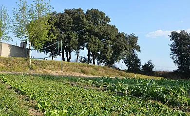 Ca l´Ànima en Cornella del Terri (Girona) - Foto 12