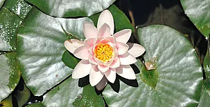 Finca la Fronda 0014