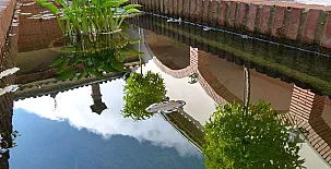 Finca la Fronda 0023