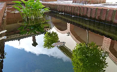 Finca la Fronda en Alajar (Huelva) - Foto 23