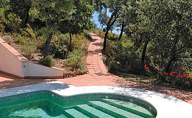 Finca la Fronda en Alajar (Huelva) - Foto 6