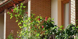 Finca la Fronda 0033