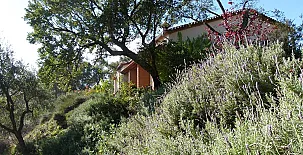 Finca la Fronda 0038