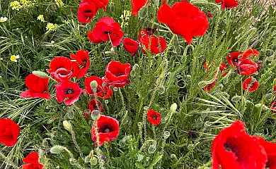 La Cueva Blanca en Alcala Del Júcar (Albacete) - Foto 16