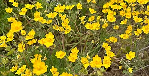 La Cueva Blanca 0044