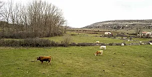Casa Rural Rincón del Boletus 0047
