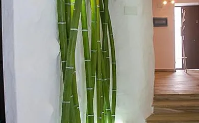 Casa Rural Las Colmenas en Alcala Del Júcar (Albacete) - Foto 6