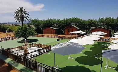 El Pansat en Albaida (Valencia) - Foto 20