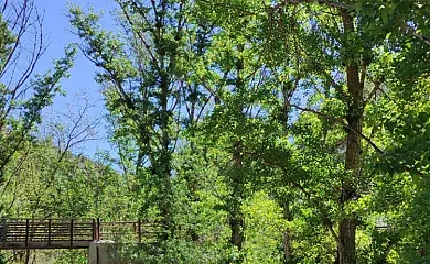 Señorio de Ves en Casas de Ves (Albacete) - Foto 23