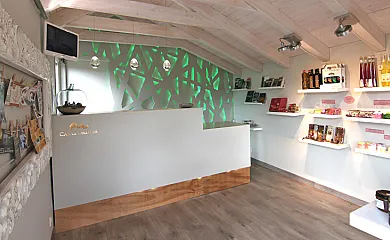 Casas Rurales Ordesa en Belsierre (Huesca) - Foto 2