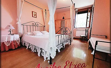 Araiko Etxea en Tuyo (Álava) - Foto 4