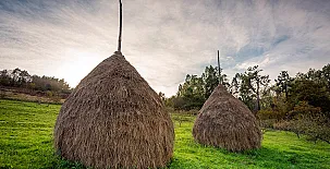 La Casona de Pravia 0013