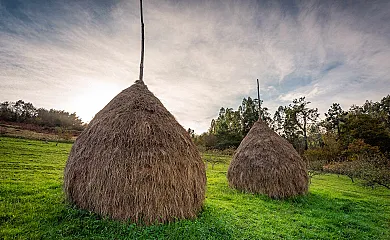La Casona de Pravia en Pravia (Asturias) - Foto 13