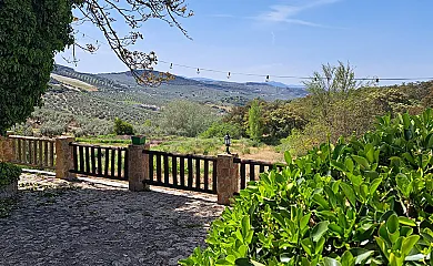El Cortijo de Don Manuel en Algarinejo (Granada) - Foto 6