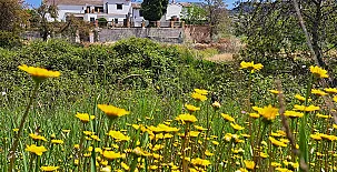 El Cortijo de Don Manuel 008