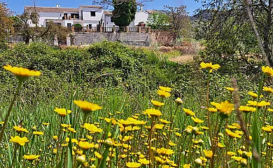 El Cortijo de Don Manuel en Algarinejo (Granada) - Foto 8