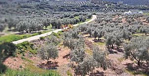 El Cortijo de Don Manuel 0011