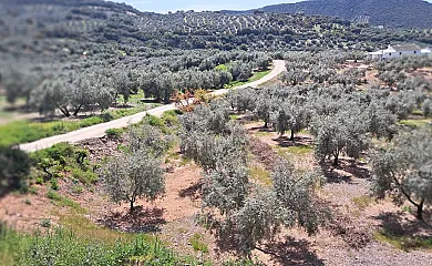 El Cortijo de Don Manuel en Algarinejo (Granada) - Foto 11