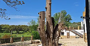 El Cortijo de Don Manuel 009