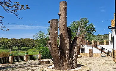 El Cortijo de Don Manuel en Algarinejo (Granada) - Foto 9