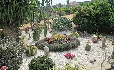 Cortijo Relente en Cuevas Del Almanzora (Almería) - Foto 6