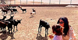 Cortijo los Pradillos 003