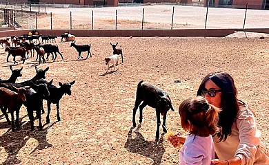 Cortijo los Pradillos en Ferez (Albacete) - Foto 3
