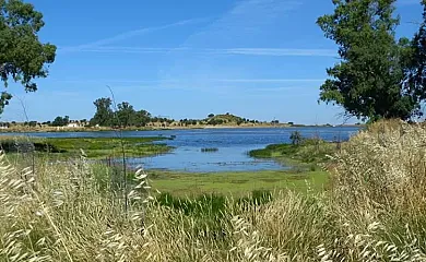 Casa Rural La Huerta en Brozas (Cáceres) - Foto 16