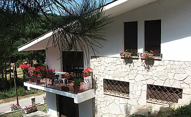 Fuente del Pino en San Leonardo de Yagüe (Soria) - Foto 20