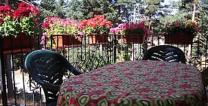 Fuente del Pino 0021