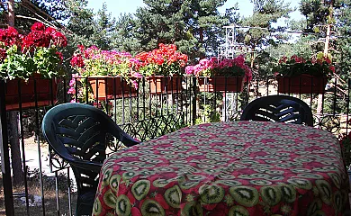 Fuente del Pino en San Leonardo de Yagüe (Soria) - Foto 21