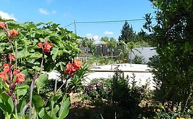 Apartamentos El Descanso en Conil de la Frontera (Cádiz) - Foto 25