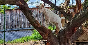 Santa Klara Alojamiento rural 005