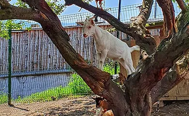 Santa Klara Alojamiento rural en Zumaia (Guipuzcoa) - Foto 5