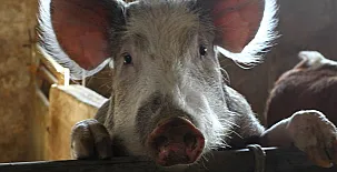 Santa Klara Alojamiento rural 0020